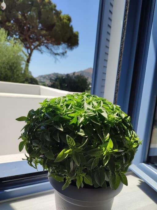 فيلا Το Σπιτάκι To Spitaki Τhe Little House Panormos  المظهر الخارجي الصورة