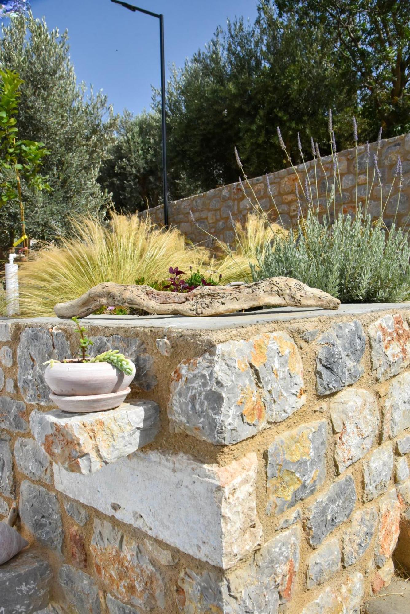 فيلا Το Σπιτάκι To Spitaki Τhe Little House Panormos  المظهر الخارجي الصورة